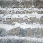 nettoyage tapis 